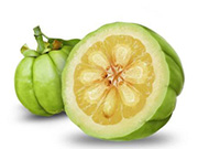 Garcinia Cambogia