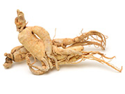 Ginseng