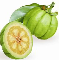 garcinia-cambogia